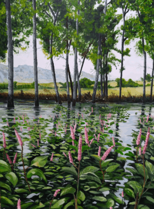 "Chatfield Reservoir State Park, CO" - Oil on canvas 18" x 24"